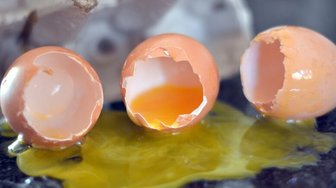 BROKEN EGGS