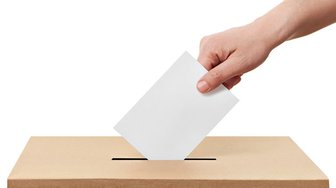 MID-TERM ELECTIONS - VOTE INCUMBENTS OUT