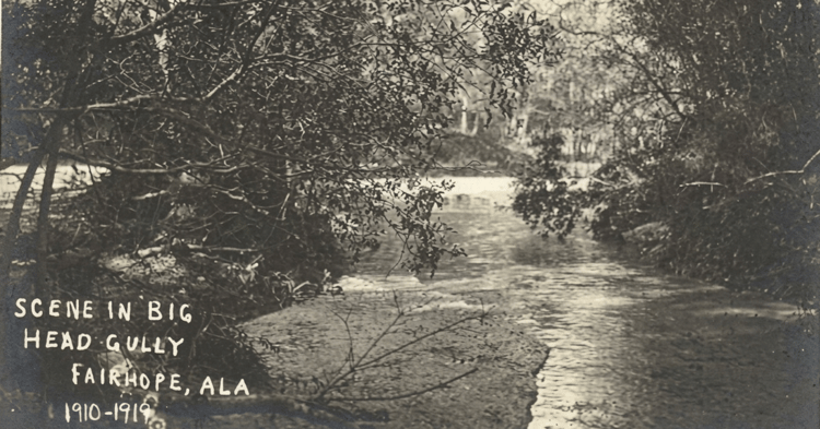 Black-and-white photo of Big Head Gulley in Fairhope, Alabama. A tree-lined stream is visible. Text reads: SCENE IN BIG HEAD GULLY FAIRHOPE, ALA 1910-1...