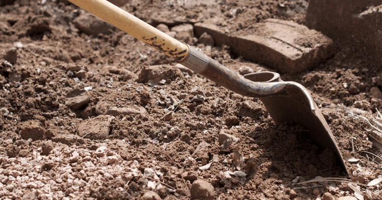A close-up of a metal shovel with a yellow handle digging into dry, rocky soil