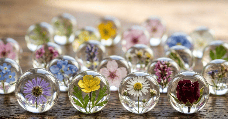 Flowers in Town and Marbles for Brains