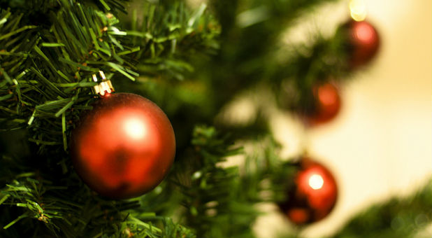 Festive Christmas tree decorated with shiny red ornaments, celebrating a merry holiday season