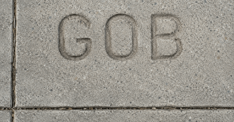 Manley Road Sidewalk Conflicts of Interest