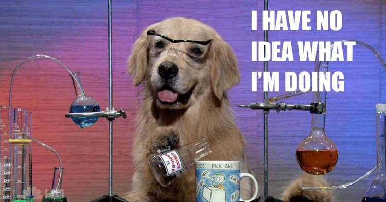A golden retriever in glasses sits among lab glassware, holding a bottle, with overlaid text reading I HAVE NO IDEA WHAT IM DOING
