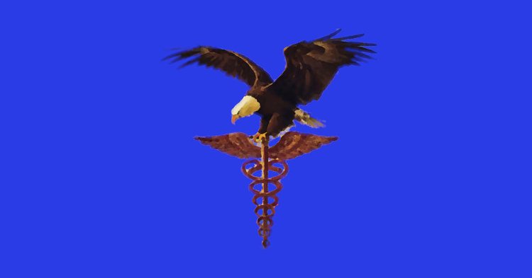 Eagle perched atop a medical caduceus symbol against a blue background, representing healthcare at the Birmingham V.A. hos...