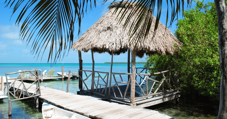 A wooden pier extends into clear turquoise water beside a sandy beach lined with palm trees under a clear blue sky
