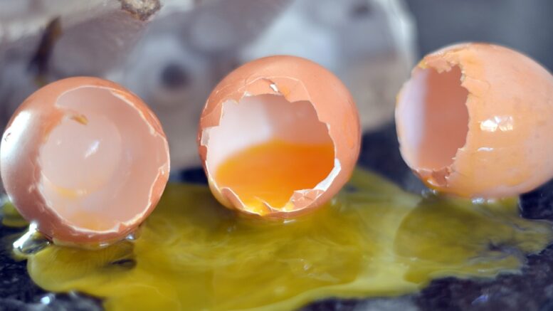 BROKEN EGGS