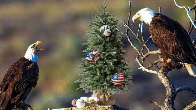 MERRY CHRISTMAS - animated